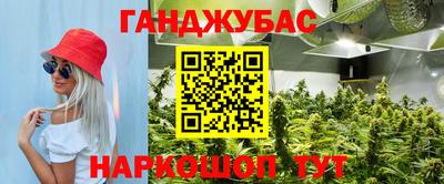 крисы Усть-Джегута