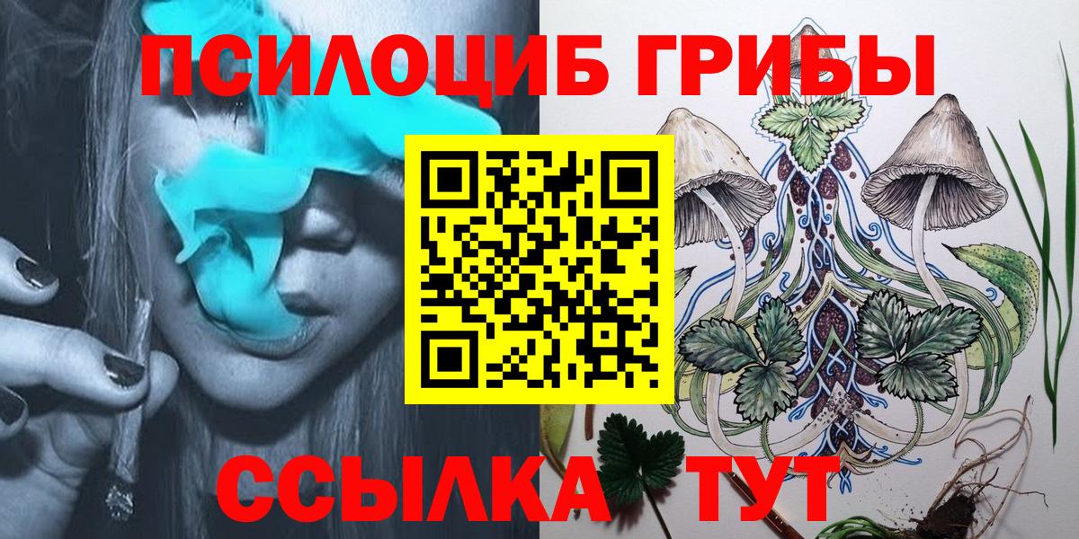 Псилоцибиновые грибы мицелий Новодвинск